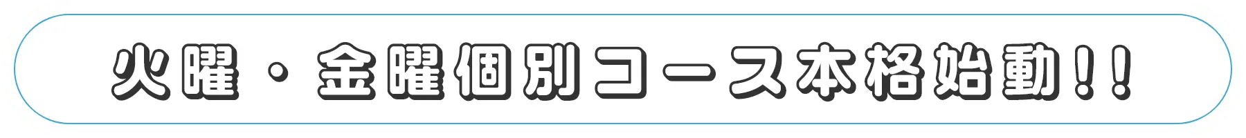 火曜・金曜個別コース本格始動
